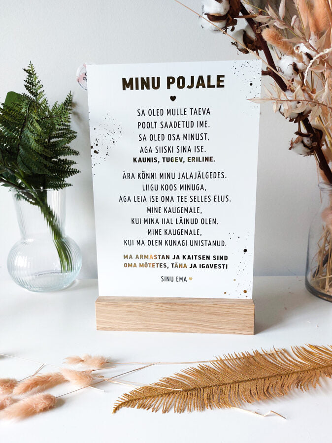 Minu pojale/mirror  Image 2