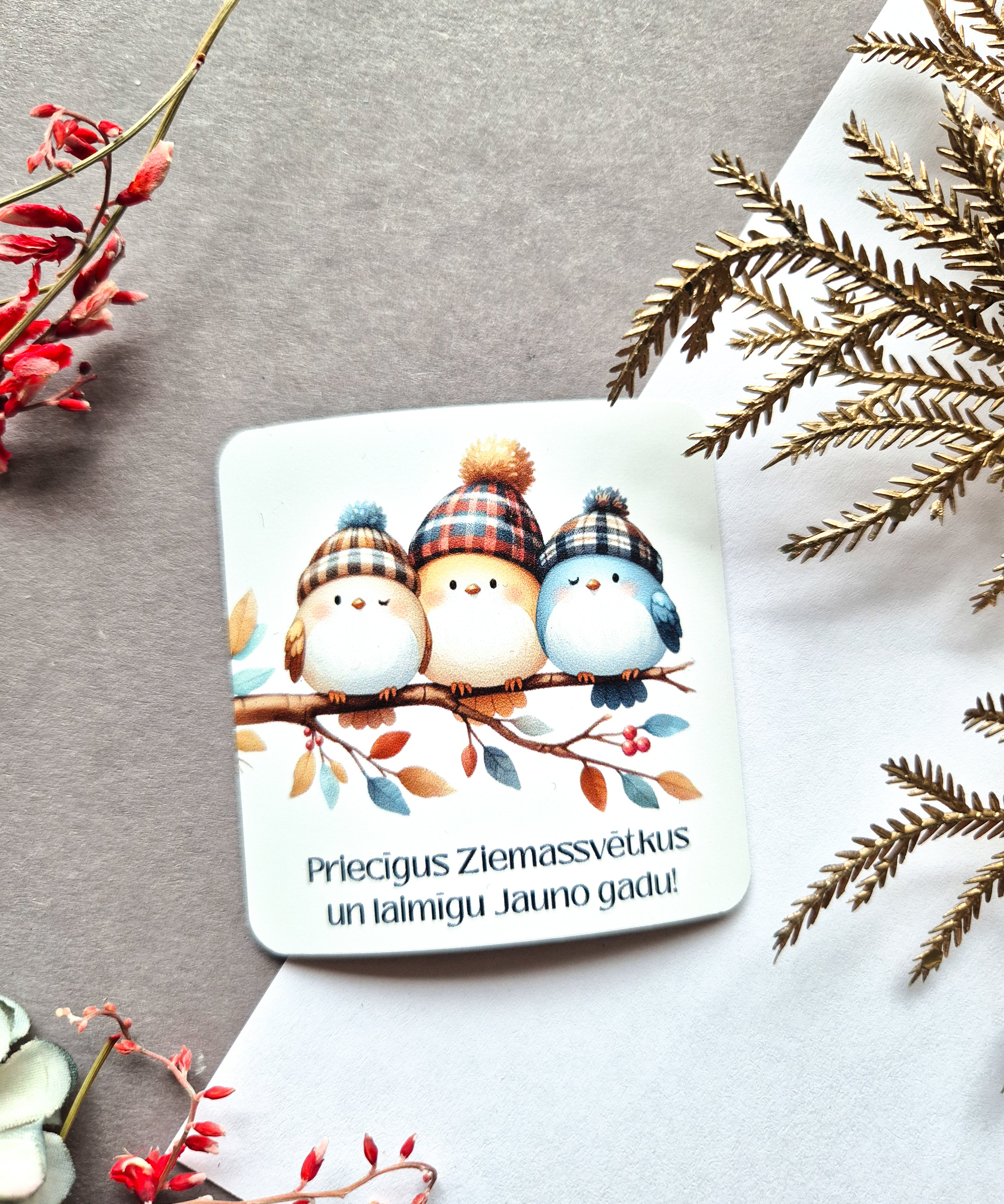Ziemassvētku vinila magnēti