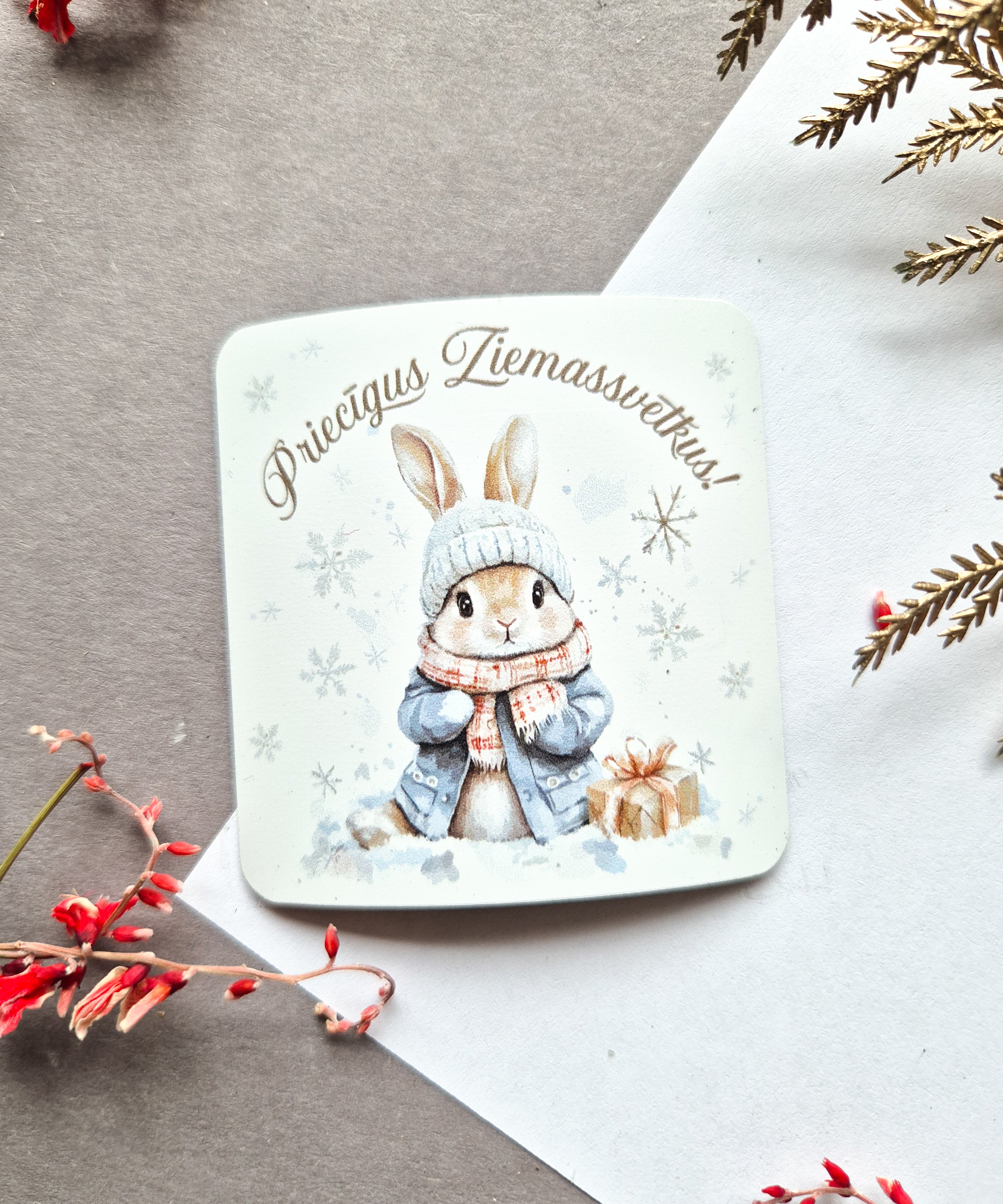 Ziemassvētku vinila magnēti