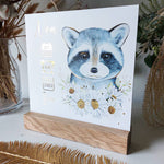 Jenots Image 2