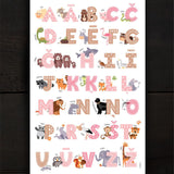 ABC/maigi rozā Image 2
