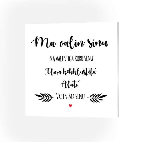 Ma valin sinu  Image 3