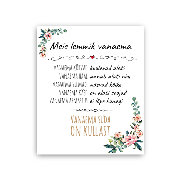 MEIE LEMMIK VANAEMA Image