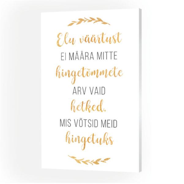 Elu väärtust Image 4